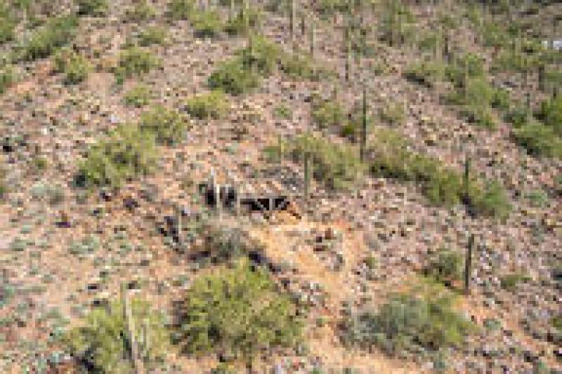 3b02d4b77d3acce1346529125074a982