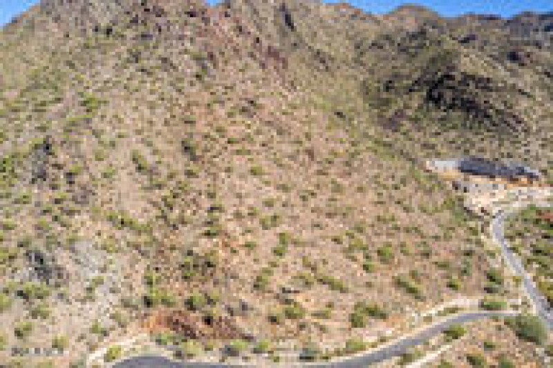 98dd93c4f09fb870ee600ea394562026