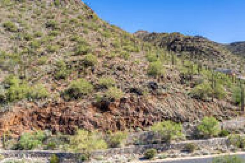 730d6a26c341c031a02de90b8f64f944