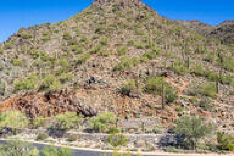 cbc5692893563463856bd276b75caea2