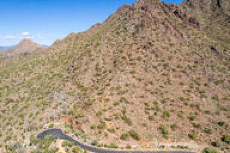 57982b2021498e2ea43da86e664c861b