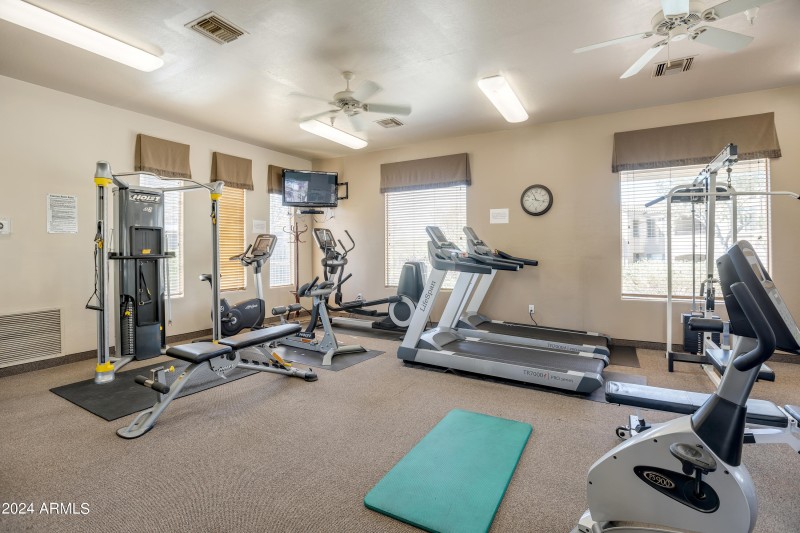 Grayhawk - 6289