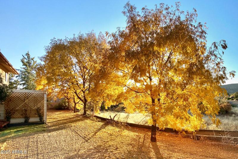 Fall View Coming Soon!