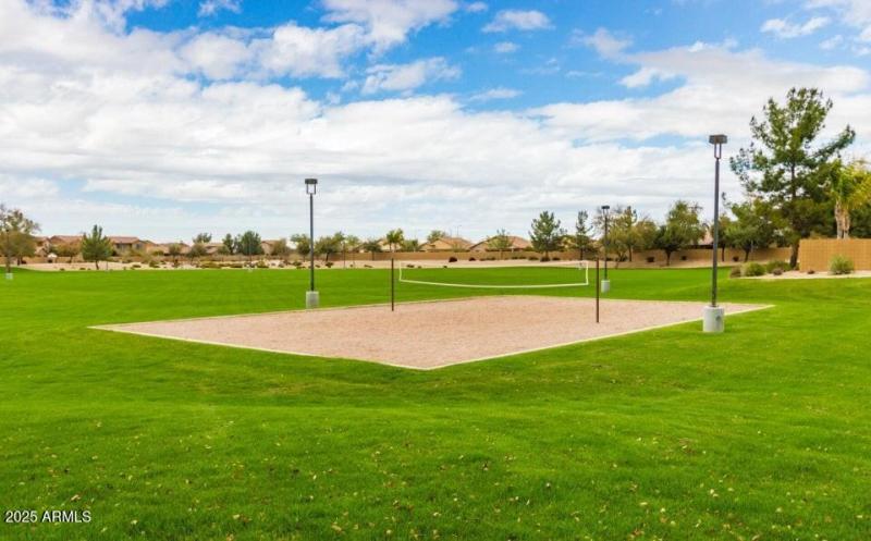 Sun Groves Comm Pics 7