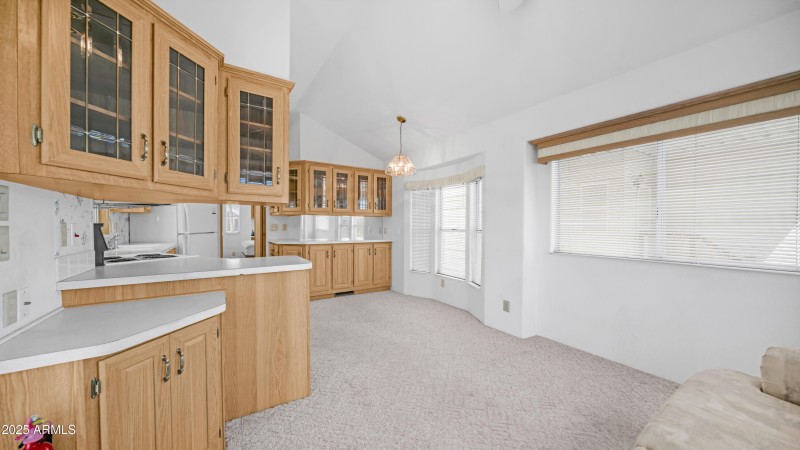 3710 S Goldfield Rd Lot 94 (3)