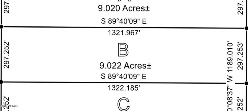 251st N of Montgomery 9 Survey Crop