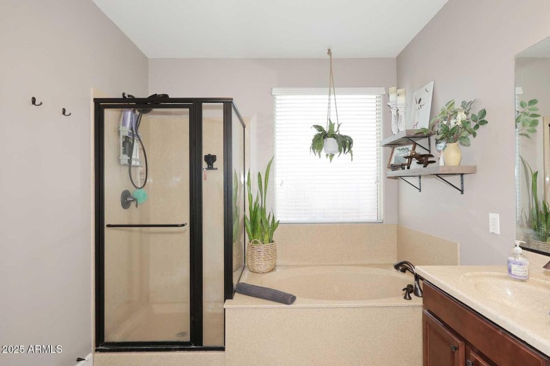 Primary Bath-Garden Tub