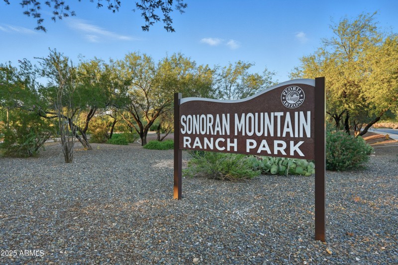 79-print-Listerpros-79