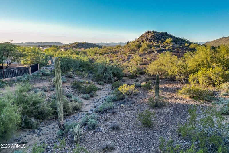 139-print-Listerpros-139