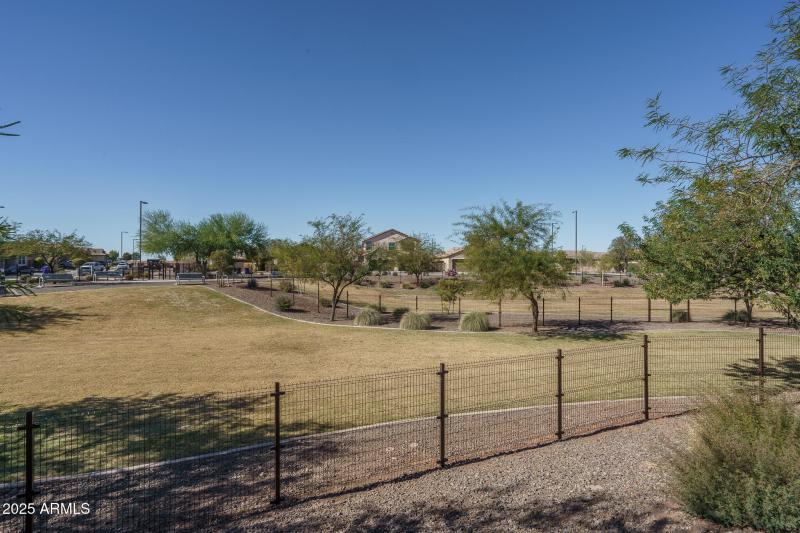 I2) DOG PARK