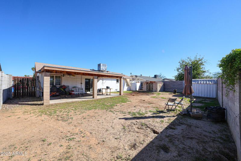 Backyard