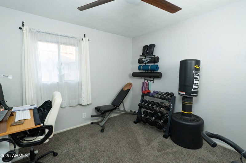 286 W PALOMINO Drive