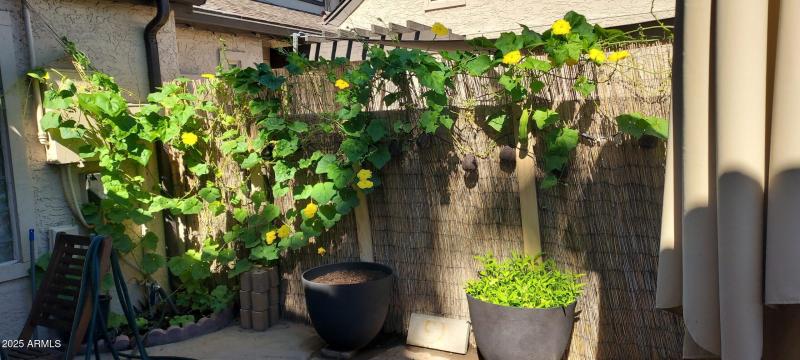 Resized_20251021_113537