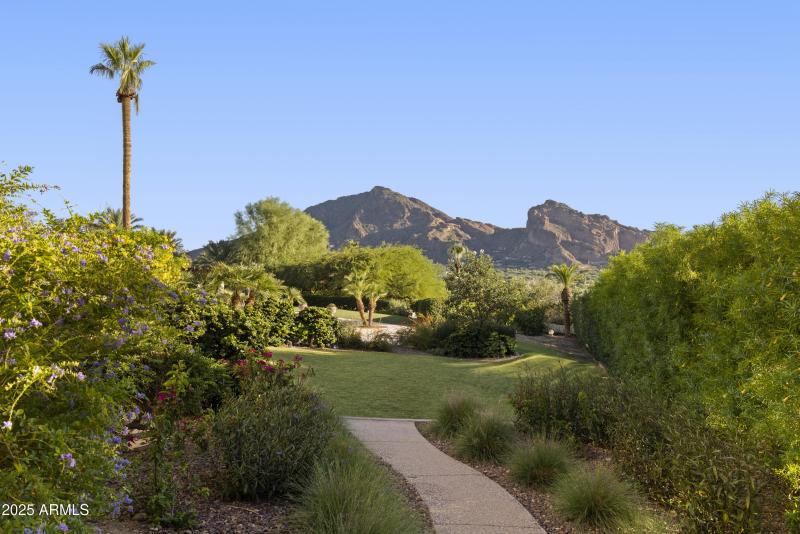Camelback Views