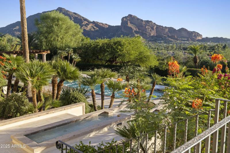 Camelback Views