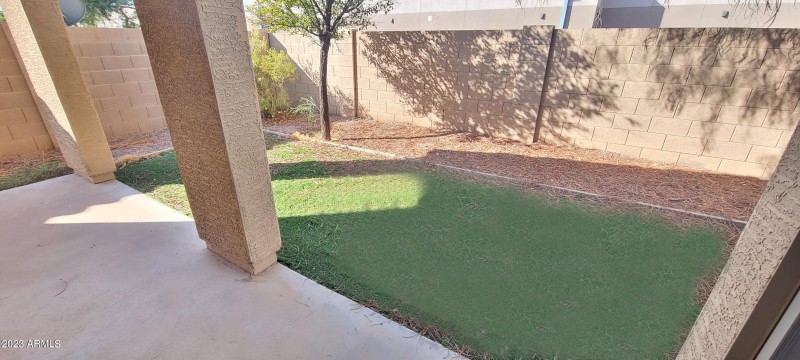 Falcon Back Yard