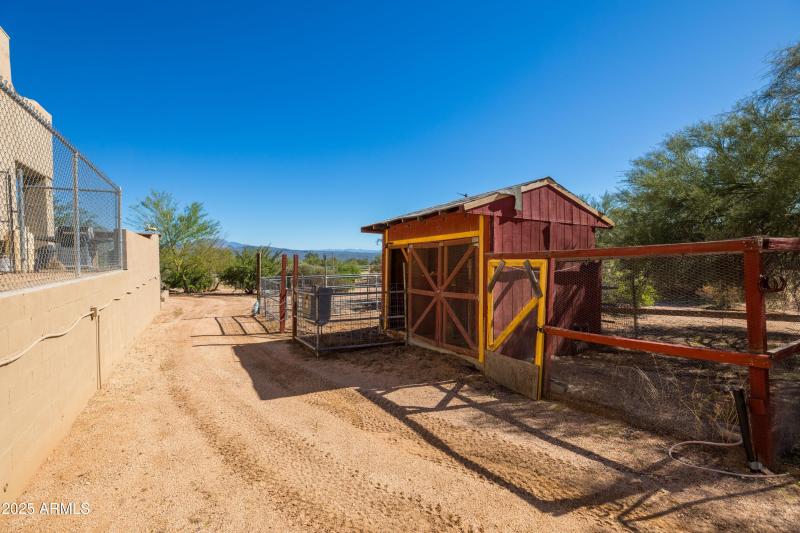 Chicken Coop