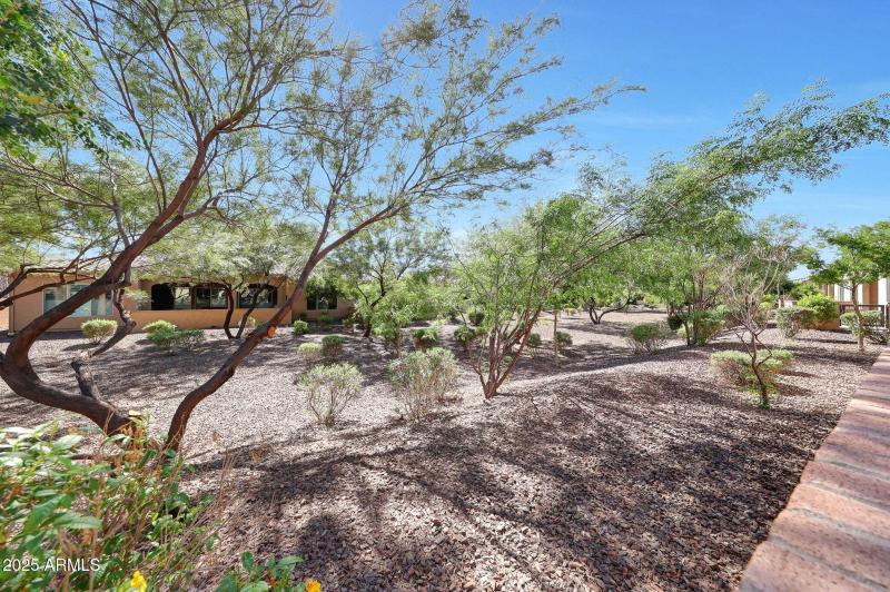 Backs to Common Area