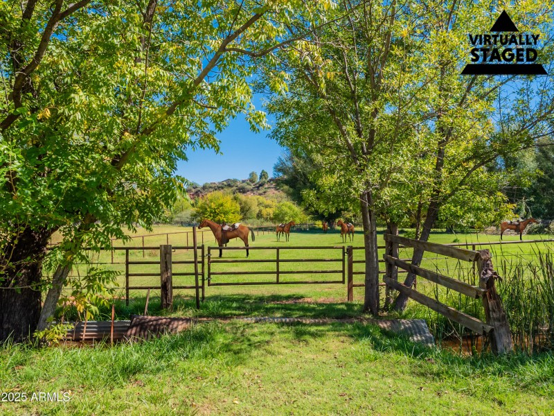 ListerPros-71 (Horses)_VS 1