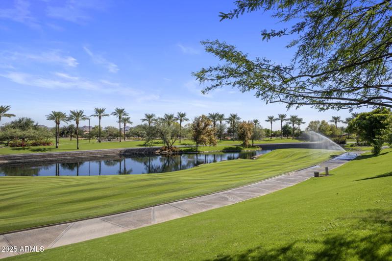 15-web-or-mls-IMG_7689