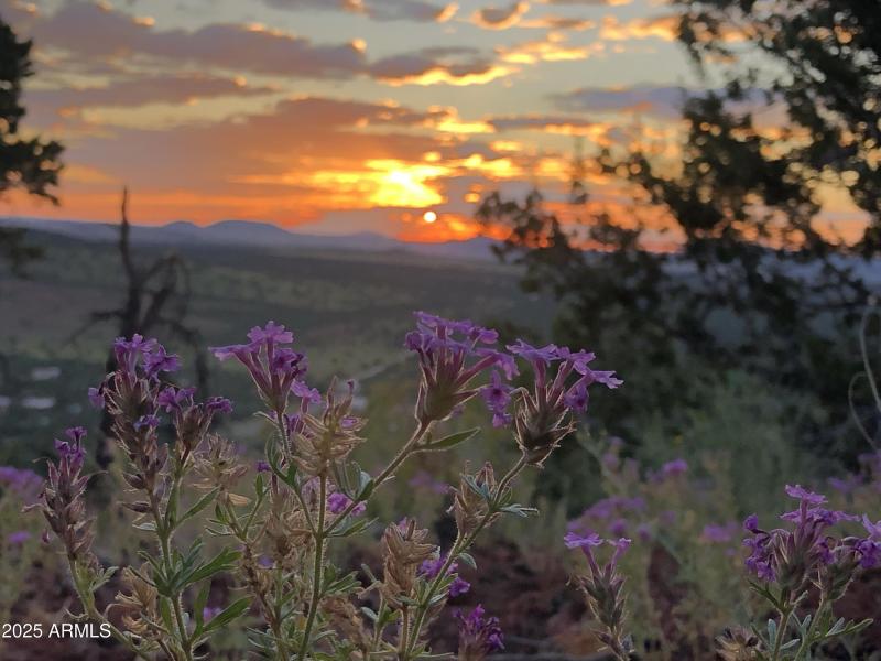 Owners library of stunning photos