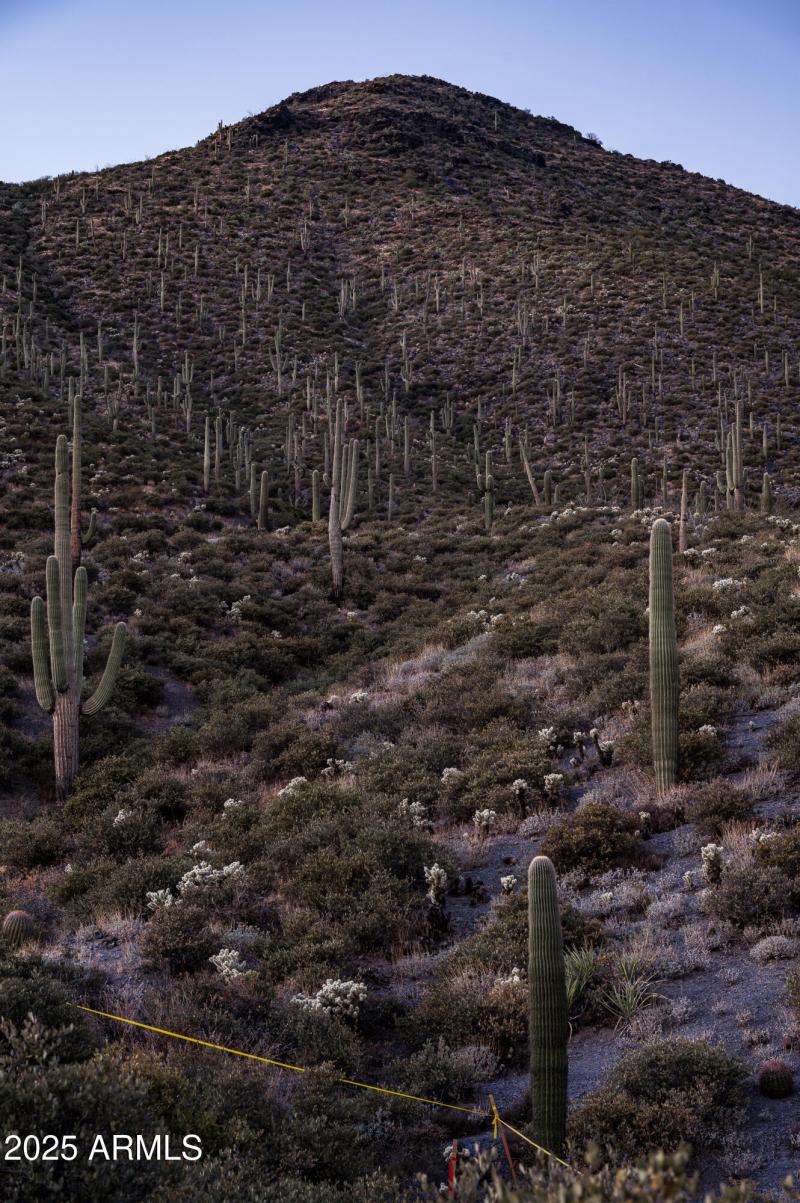 9108 N Grapevine Pass Lot 338-18