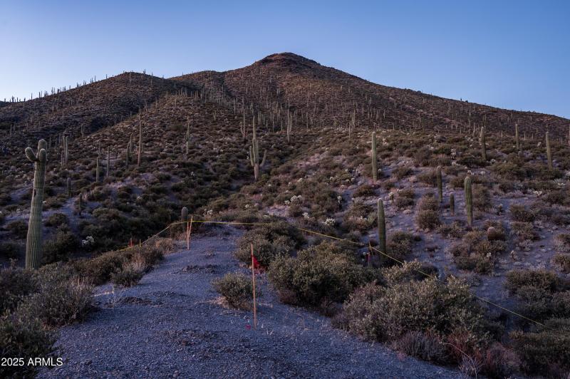 9108 N Grapevine Pass Lot 338-16