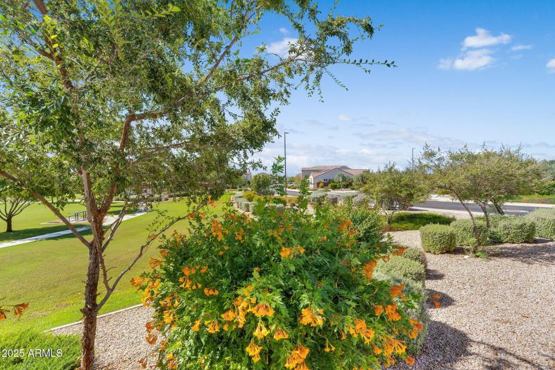 77-web-or-mls-Notting Hill-80