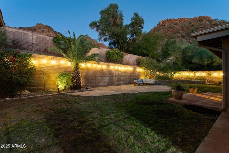 Backyard at twilight