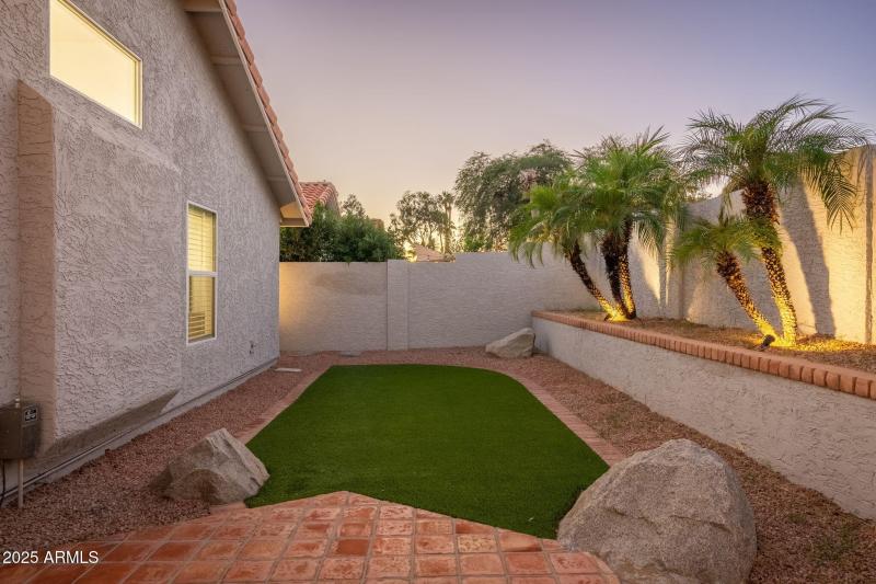 Turfed Yard
