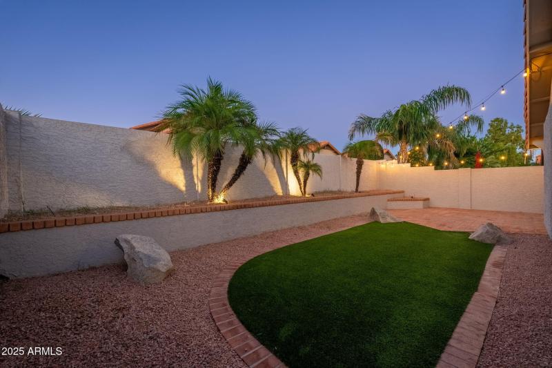 Twilight Backyard