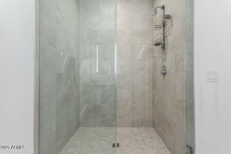 Primary Shower