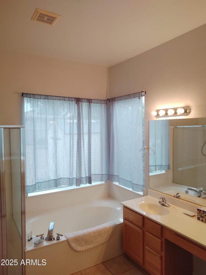 Master bath tub view