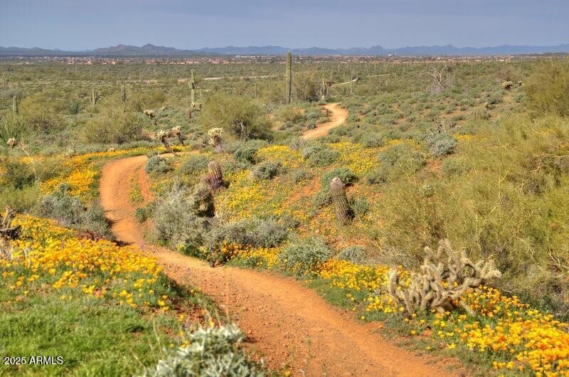 Explore miles of trails next door
