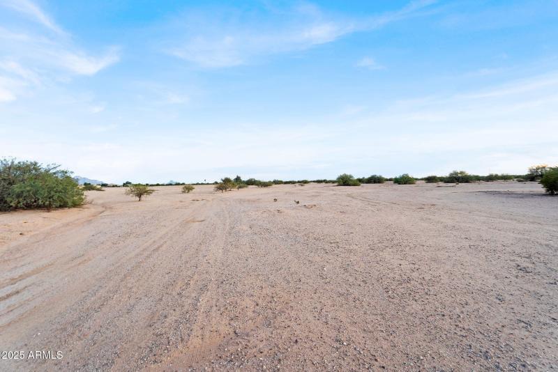 8-web-or-mls-DSC02521