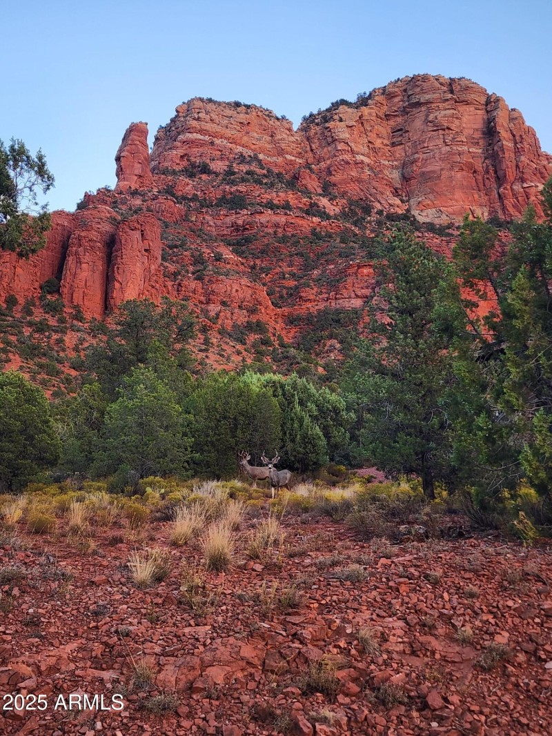 121 E Mallard - Sedona Land for Sale