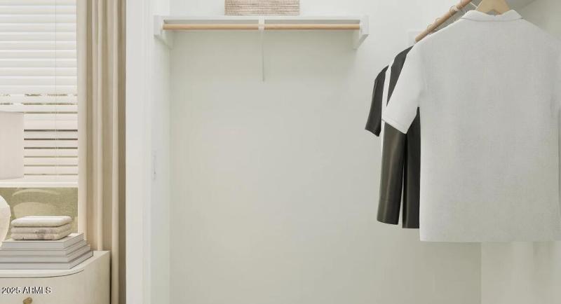 Owners Walk in Closet