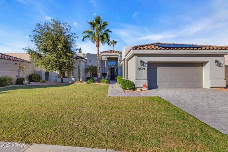 75-web-or-mls-896A1464