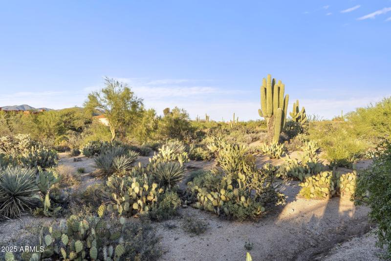 Private Arizona Compound!