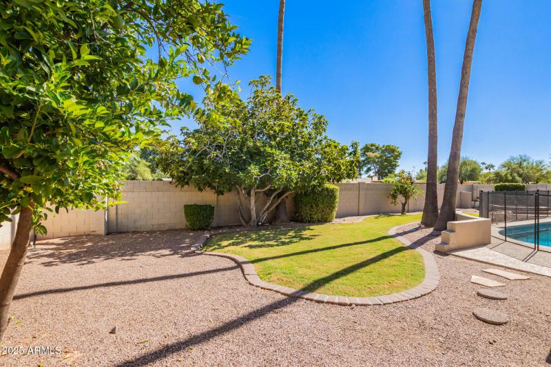 Back Yard II