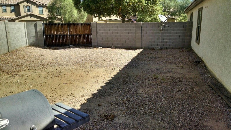 backyard 2