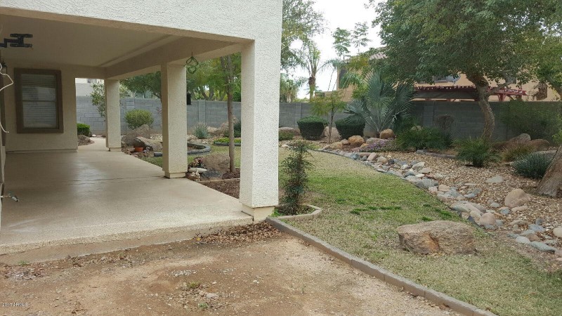 backyard 6