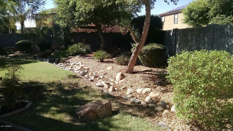 Watson backyard