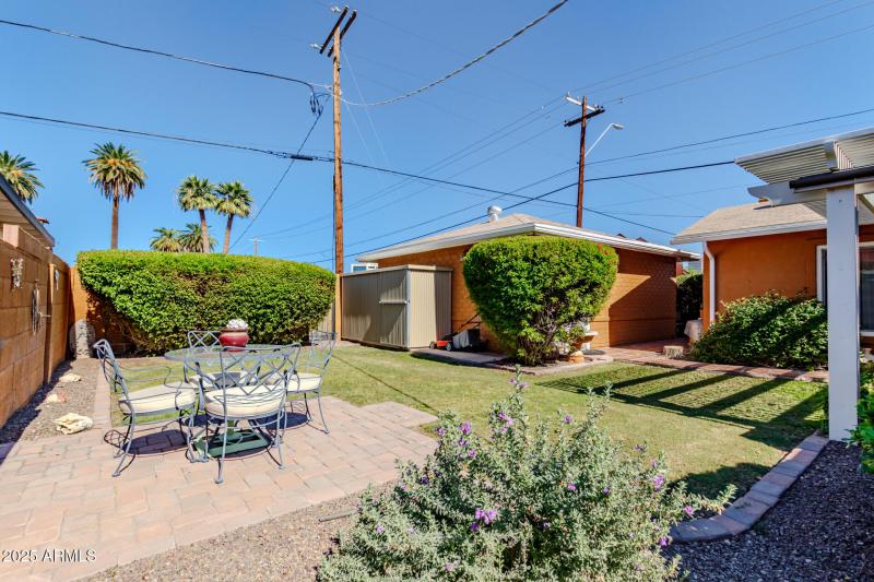 Backyard