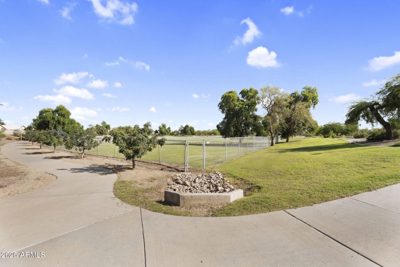 51-web-or-mls-DSC02391