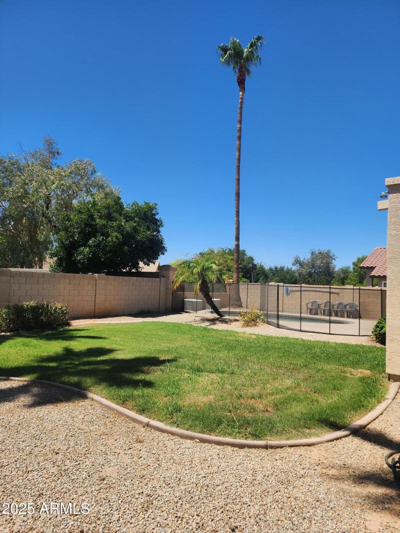 Grass area and pool area