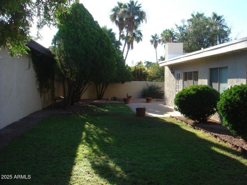 sideyard1
