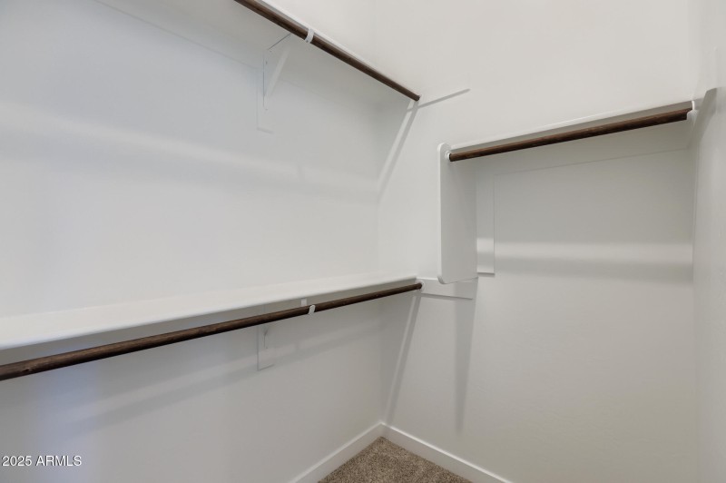 Owners Walk in Closet