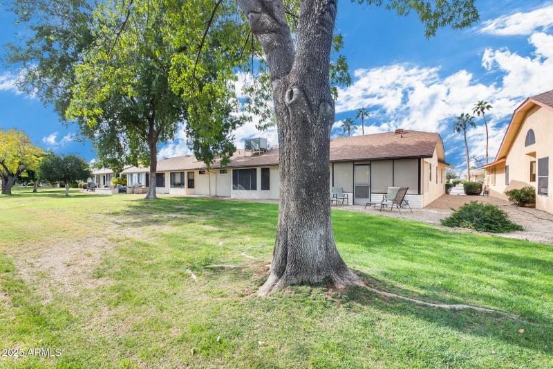 Backyard Looking at Patio