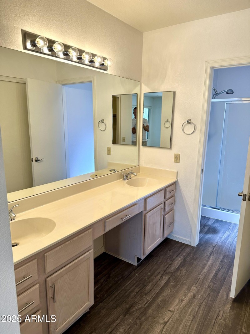 Master bath v